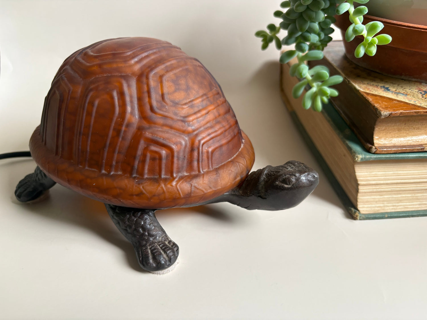 Turtle Lamps