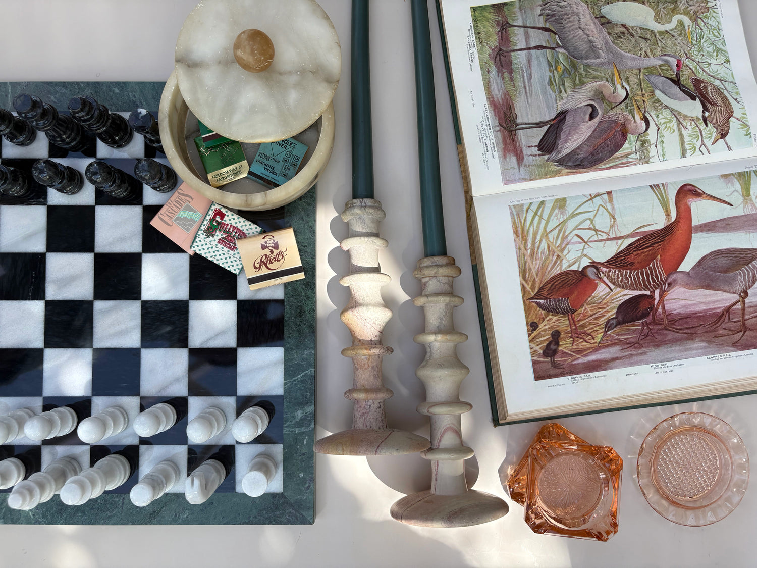 The Naturalist's Study