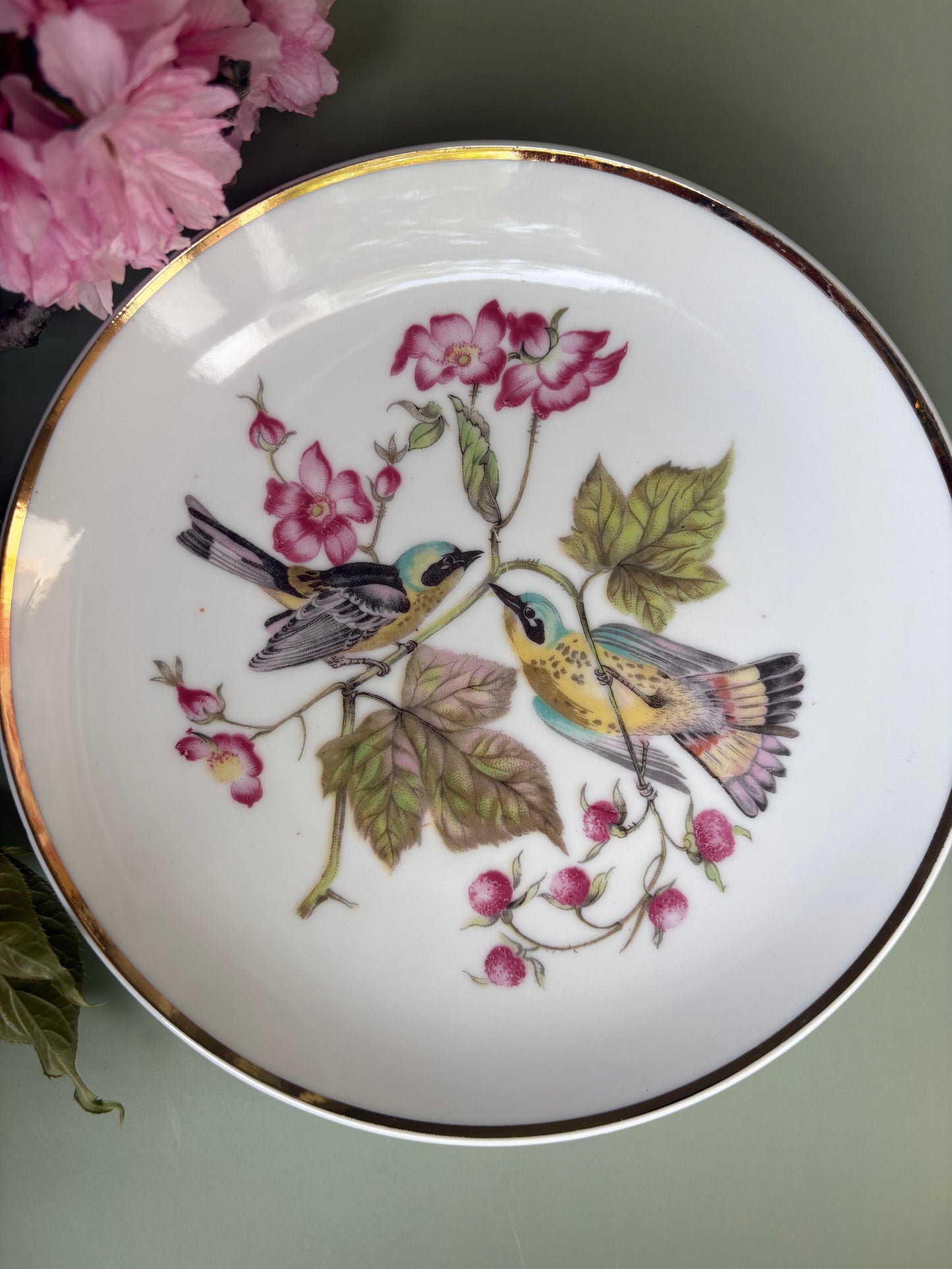 Vintage Decorative Warbler Plate