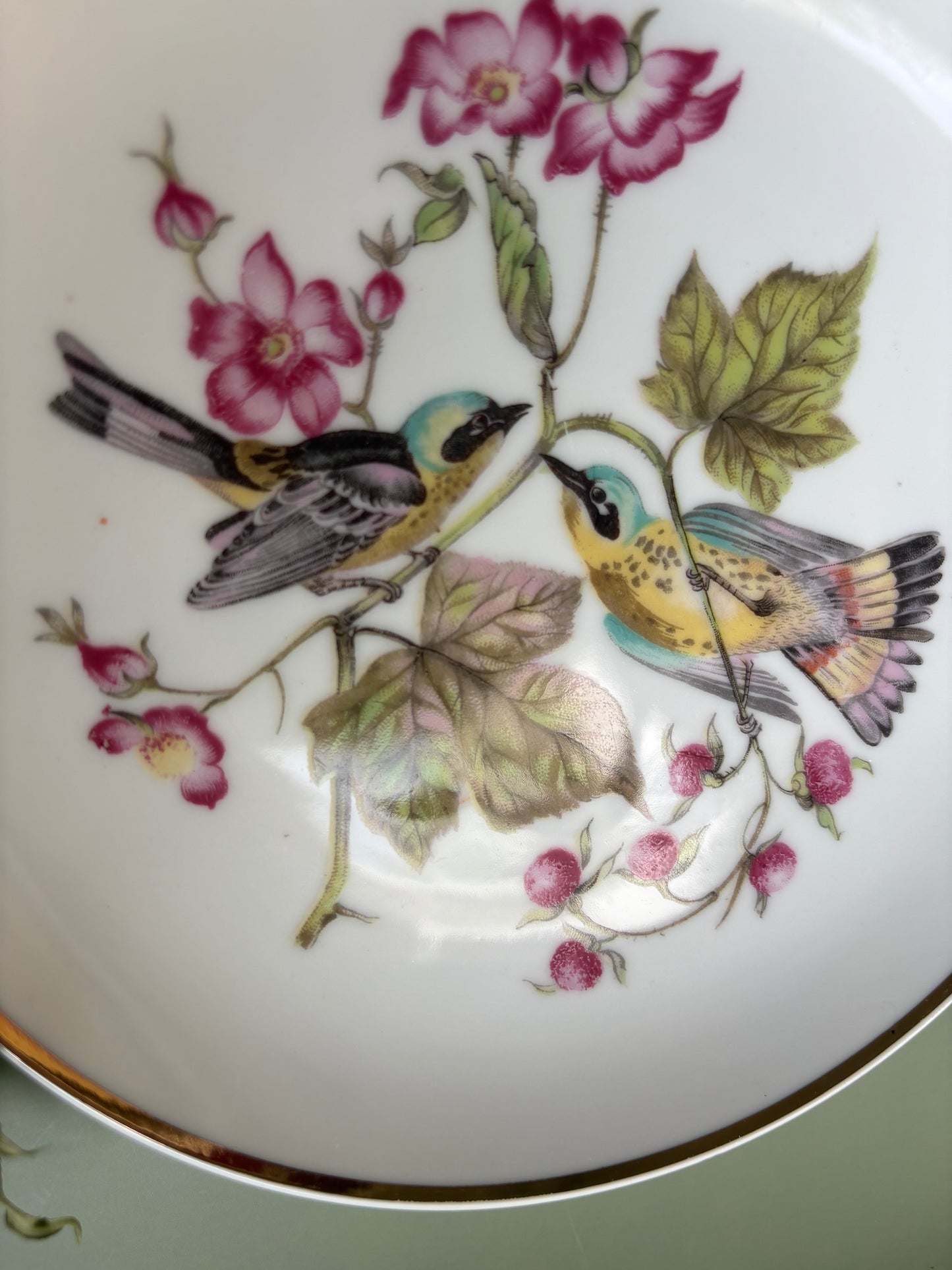 Vintage Decorative Warbler Plate