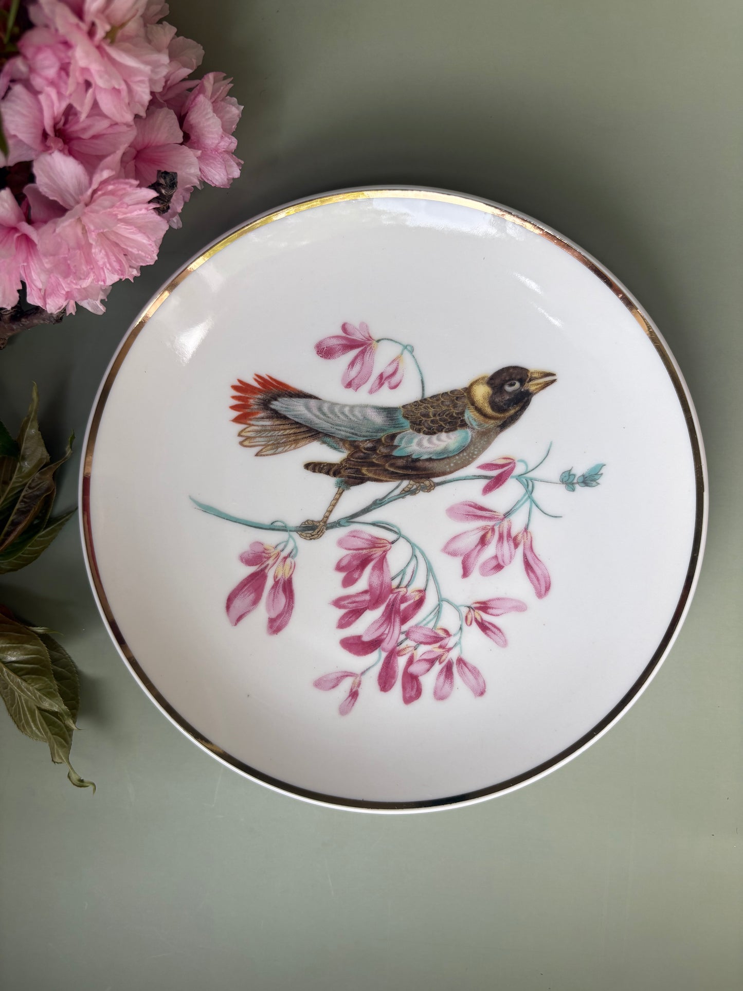 Vintage Decorative Songbird Plate