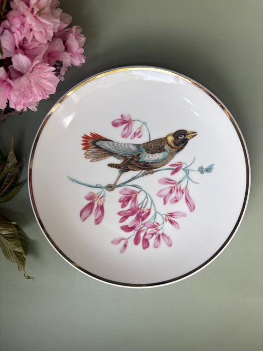 Vintage Decorative Songbird Plate