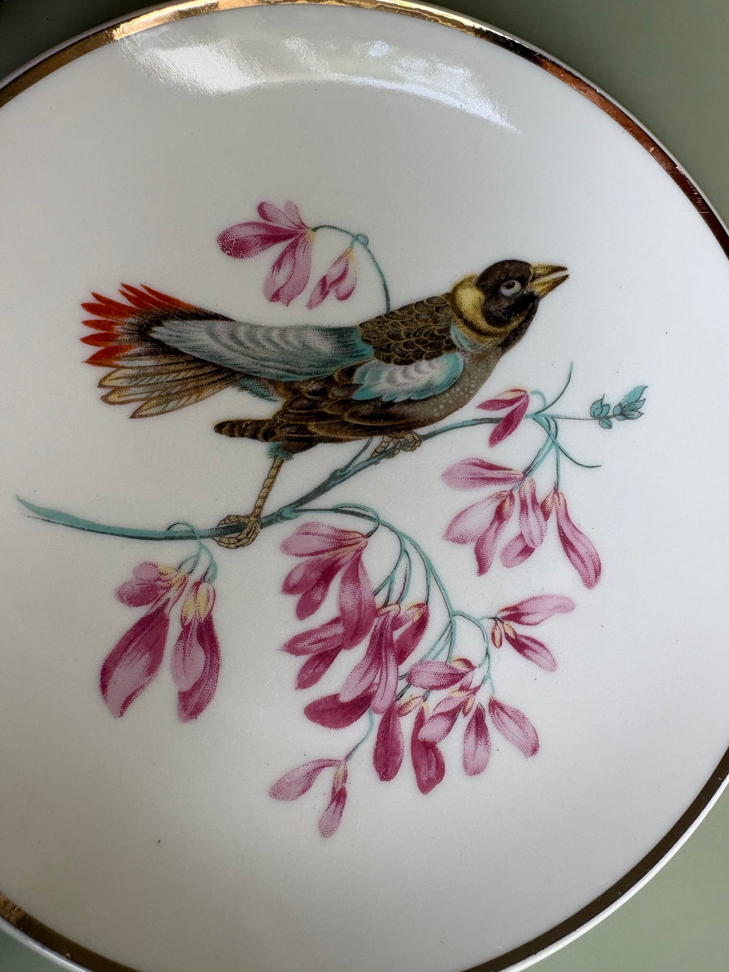 Vintage Decorative Songbird Plate