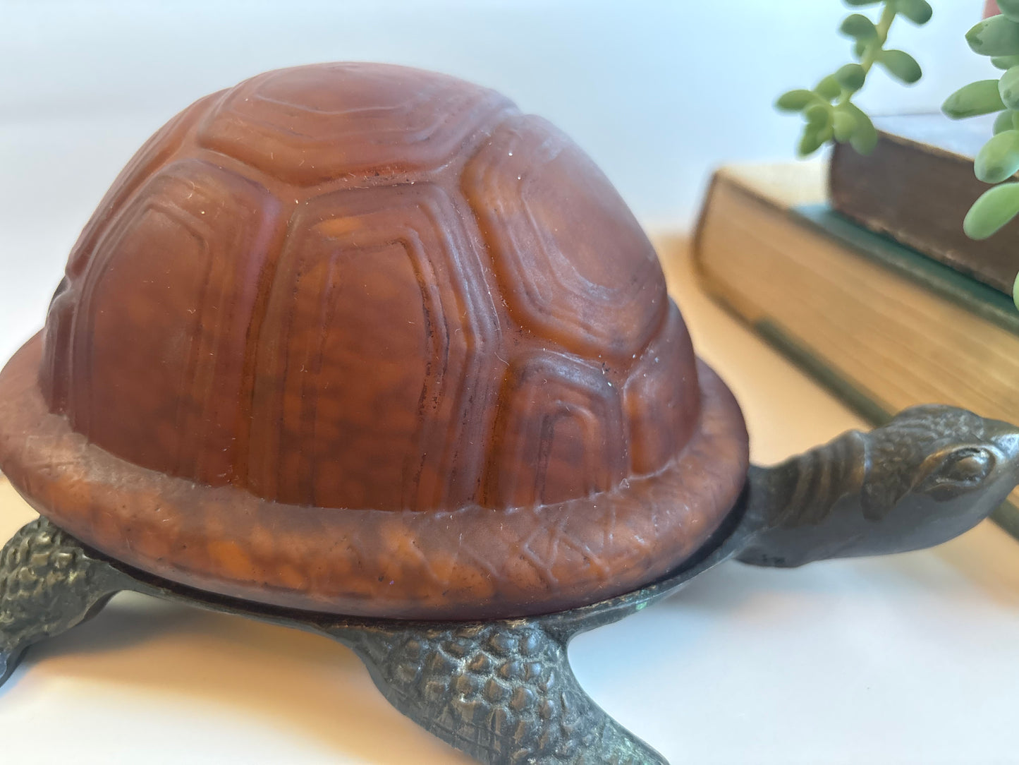 Brass Finish Metal & Glass Turtle Lamp