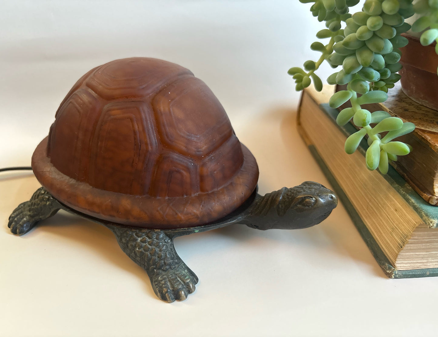 Brass Finish Metal & Glass Turtle Lamp