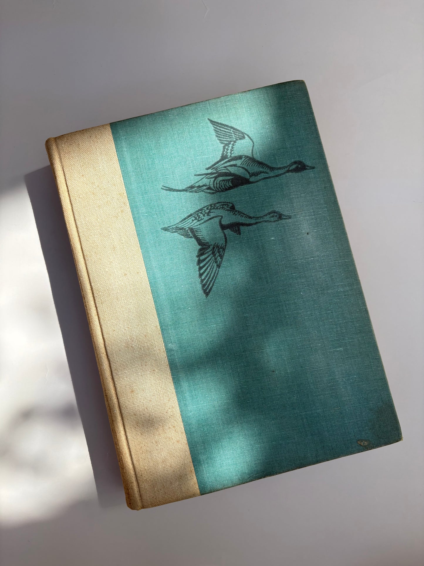 1936 Edition of Birds of America