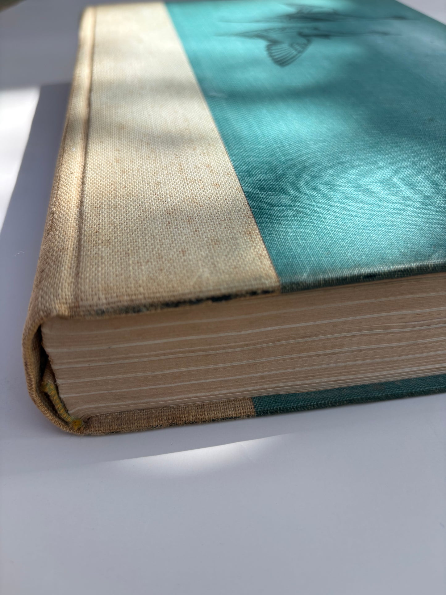 1936 Edition of Birds of America