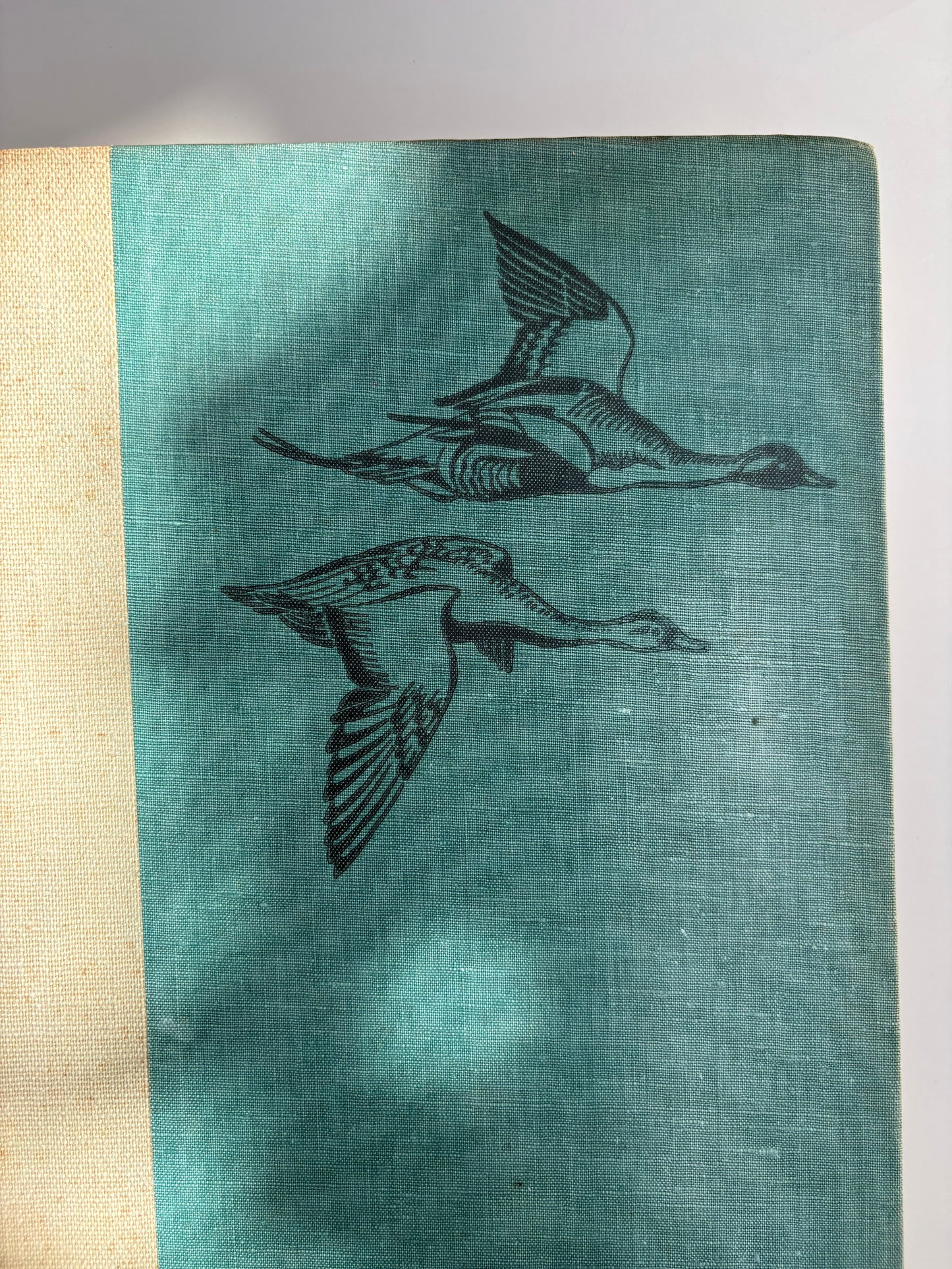 1936 Edition of Birds of America