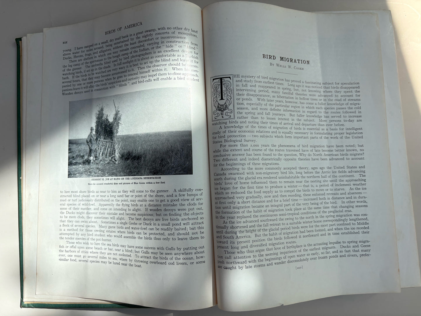 1936 Edition of Birds of America