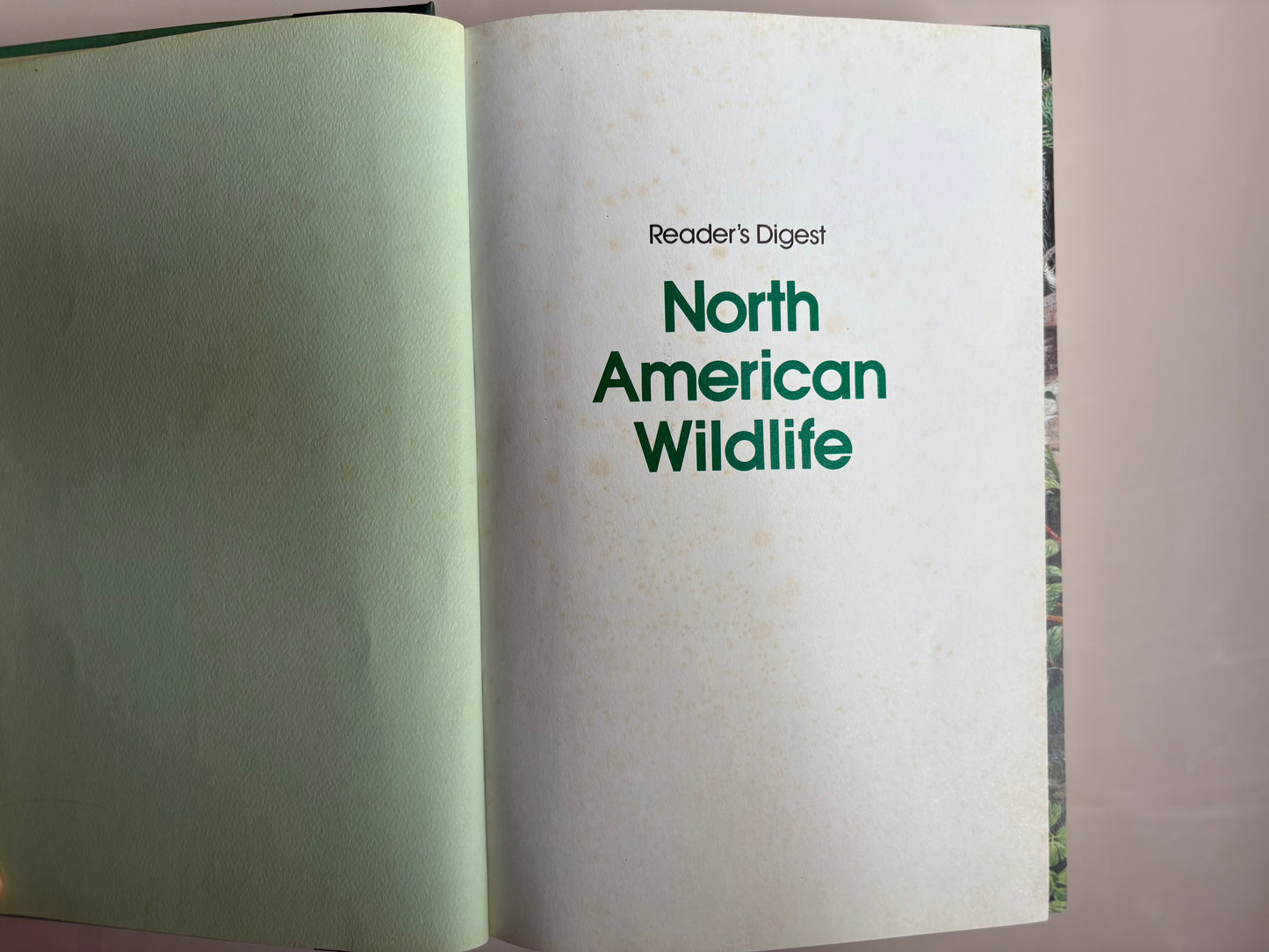 Vintage 1982 Reader's Digest North American Wildlife Hardcover