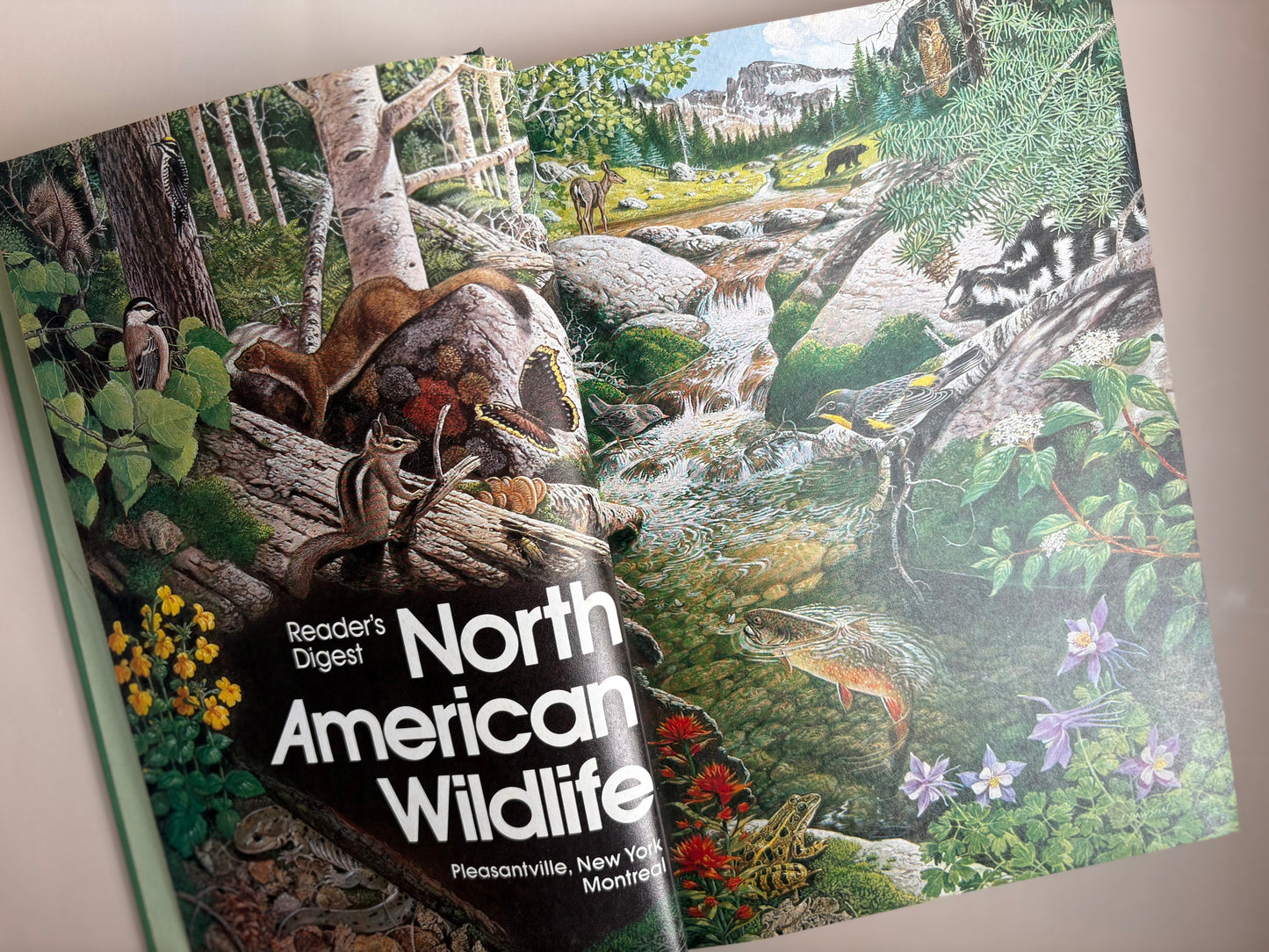 Vintage 1982 Reader's Digest North American Wildlife Hardcover