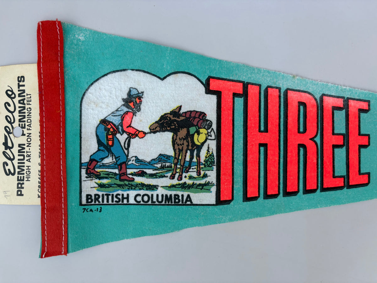 Vintage Three Valley Gap Pennant