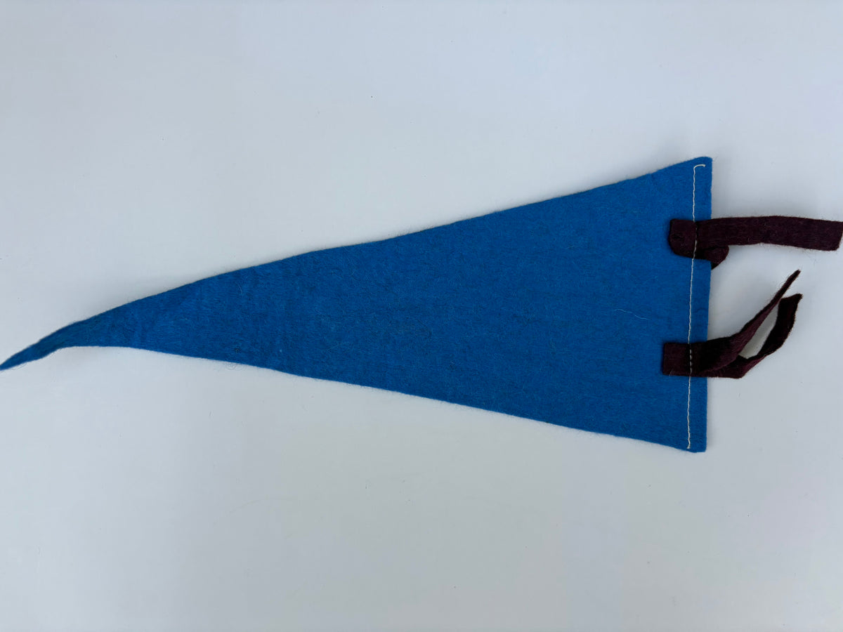 Vintage Banff, Alberta pennant