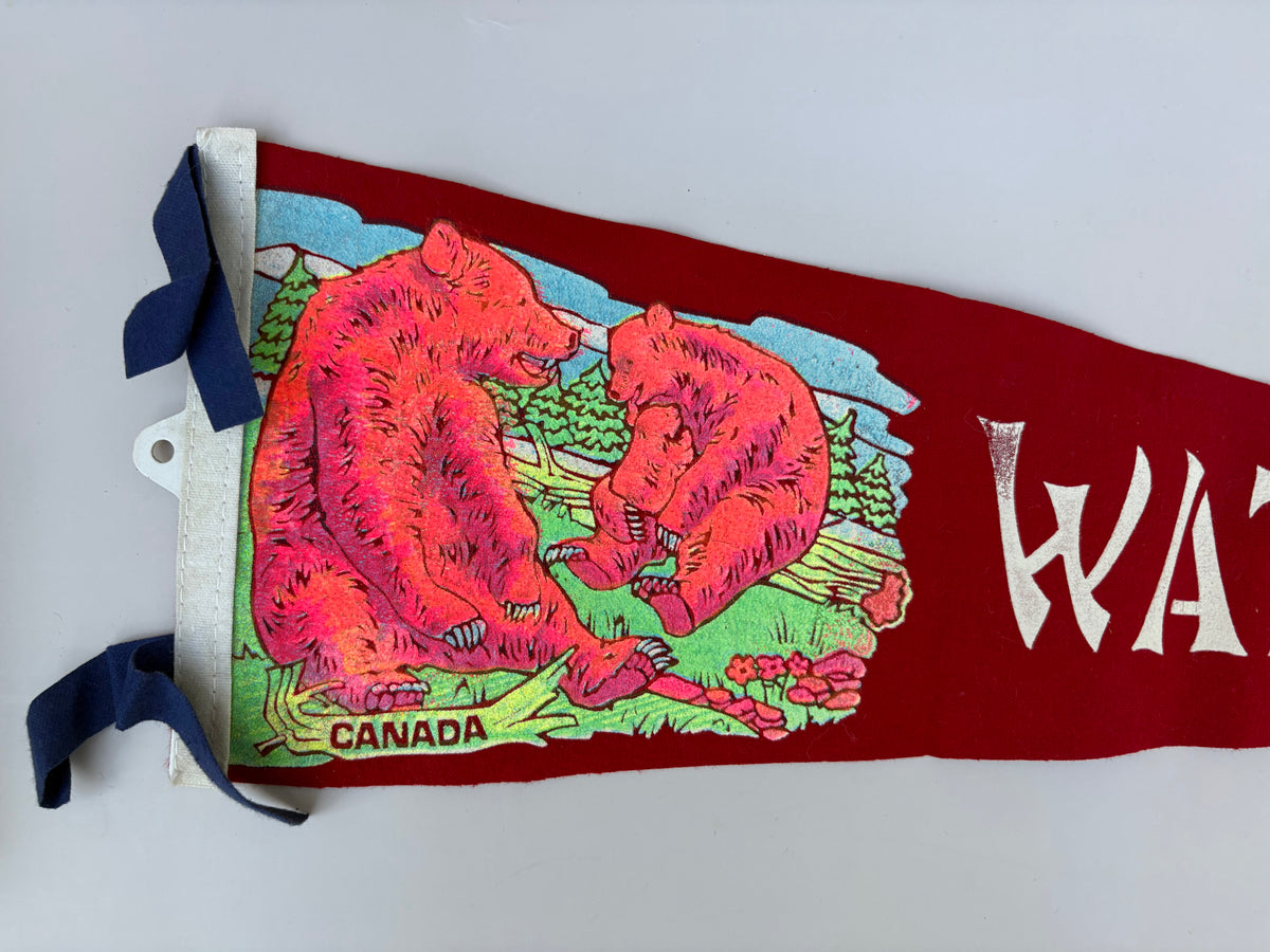 Vintage Waterton Park Pennant