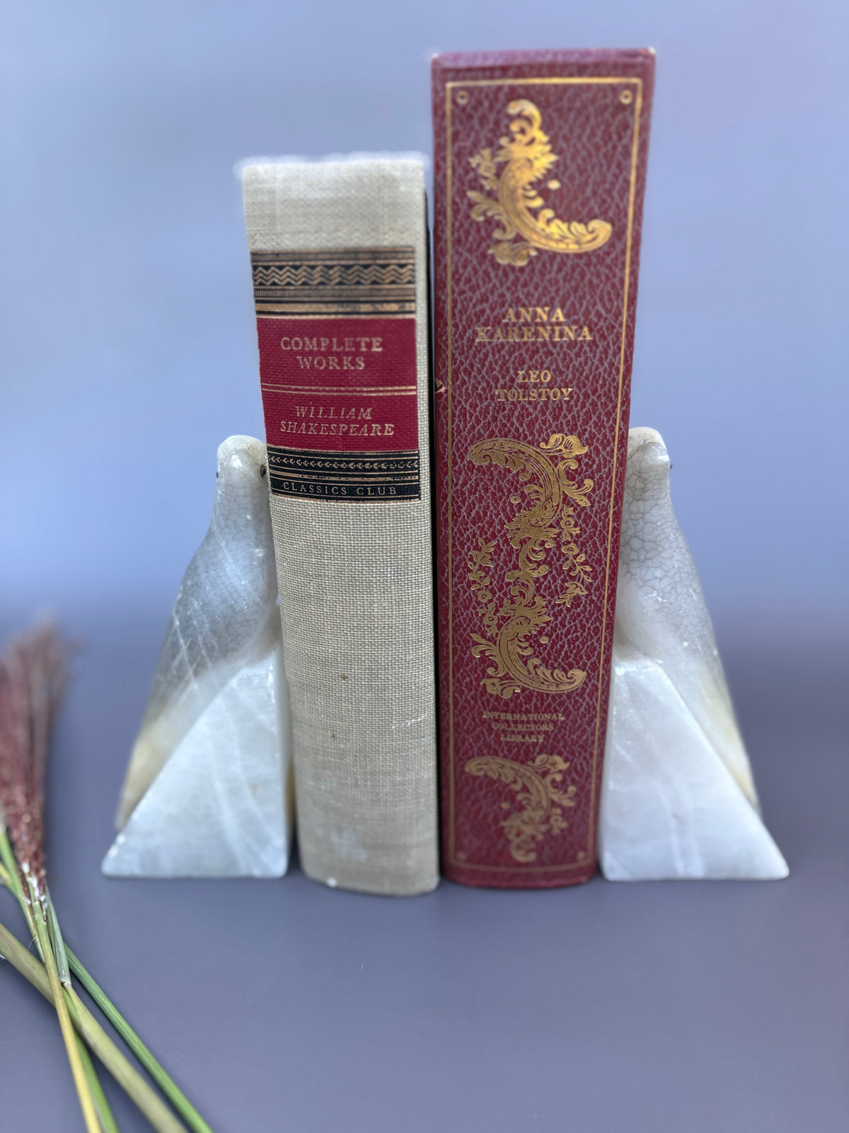 Vintage Pair of Italian Stone Cockatoo Bird Bookends